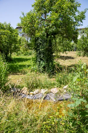 Biotope als ultimativen Biodiversitätsboost im biodiversen Garten | © Andermatt Biogarten AG