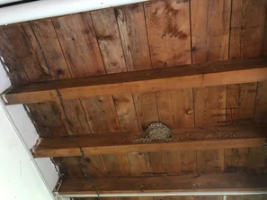 Nistplätze in offenen Scheunen anzubieten, kommt speziell der Schwalbe zugute, die auf solche Plätze angewiesen ist.- | © Andermatt Biogarten AG