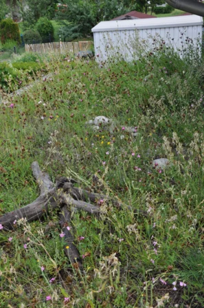 Begrüntes Garagendach mit einer Hügellandschaft aus organischem Material | © Andermatt Biogarten AG