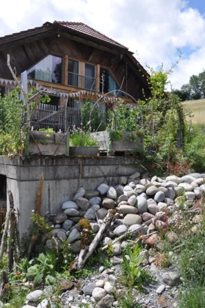 Steinelemente im Naturgarten beim Wohnhaus, das sich fünf Wohnparteien teilen | © Andermatt Biogarten AG