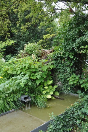 Wichtige Wasserstellen und im Hintergrund eine Holzbeige als Unterschlupf | © Andermatt_Biogarten_AG