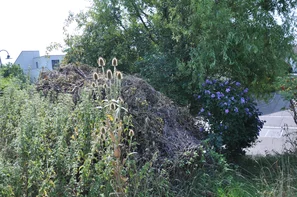 Für Igel, Schmetterlinge und Wildbienen gibt es hier Unterschlupf, Nahrung und Wasserstelle | © Andermatt Biogarten AG