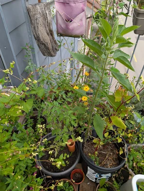 Um nicht ständig giessen zu müssen, lohnt sich ein Bewässerungssystem | © Andermatt Biogarten AG