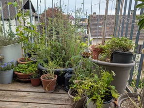 Regional ist am besten gilt für Lebensmittel und für Pflanzen | © Andermatt Biogarten AG