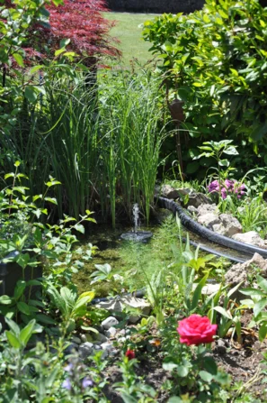 Kleiner Teich mit Steinen im Uferbereich als Lebensraum für Wassertiere und Sonnenplatz für Insekten und Amphibien | © Andermatt Biogarten AG