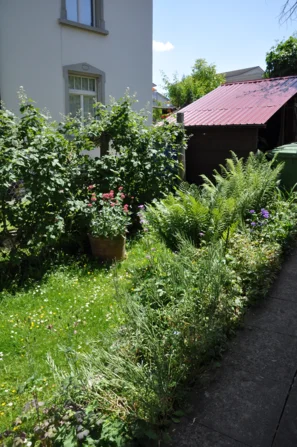Schmaler Gartenweg mit höher stehender Wiese als Lebensraum für Insekten | © Andermatt Biogarten AG