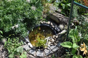 Kleiner Miniteich im Garten, der selbst auf engem Raum Wasser als Lebensraum für Insekten, Amphibien und andere Tiere bietet | © Andermatt Biogarten AG
