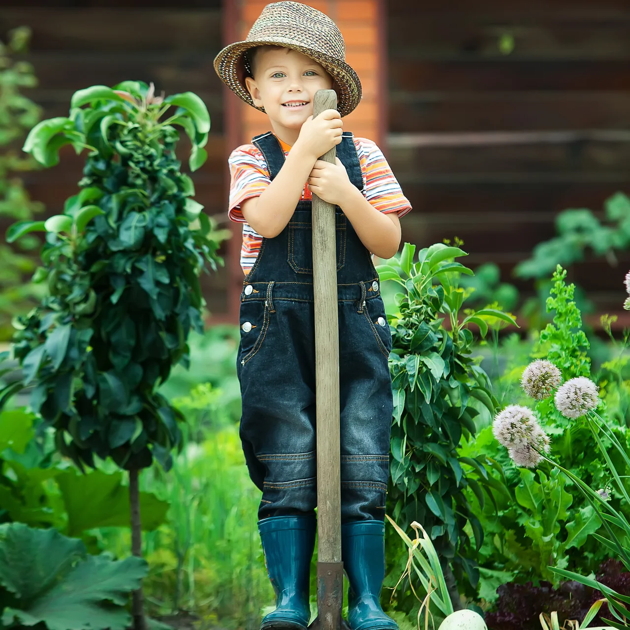 Gartenplanung Standortwahl - Die richtige Wahl für den Gartenstandort treffen