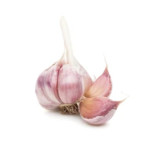 Knoblauch frisch geputzt mit Knoblauchzehen | © Andermatt Biogarten AG