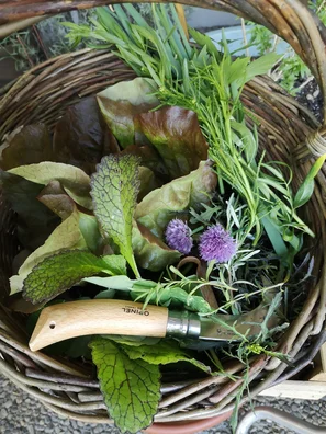Erntekorb mit Salat, Kräutern und Erntehippe | © zaubergaertli-gartenkeramik.ch
