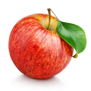 Reifer Apfel frisch vom Baum | © Andermatt Biogarten AG