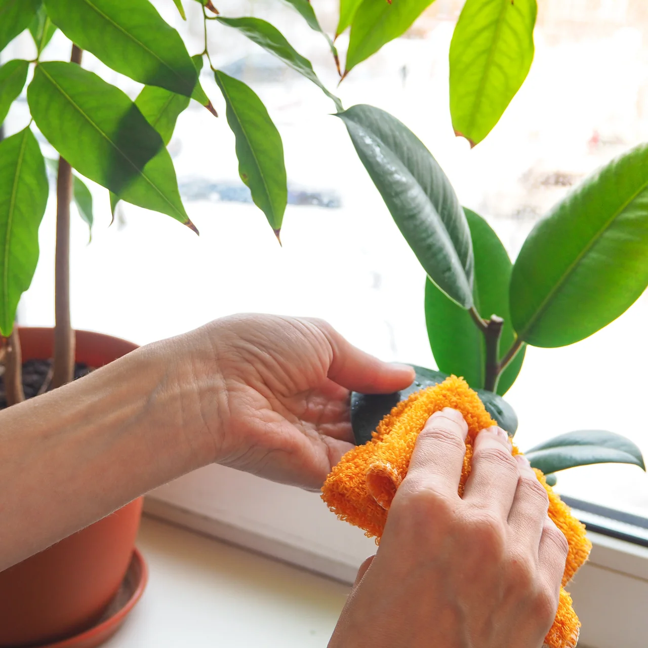 compo rasen unkrautvernichter COMPO EXPERT Rasen Floranid® mit Unkrautvernichter – Düngerprofi24