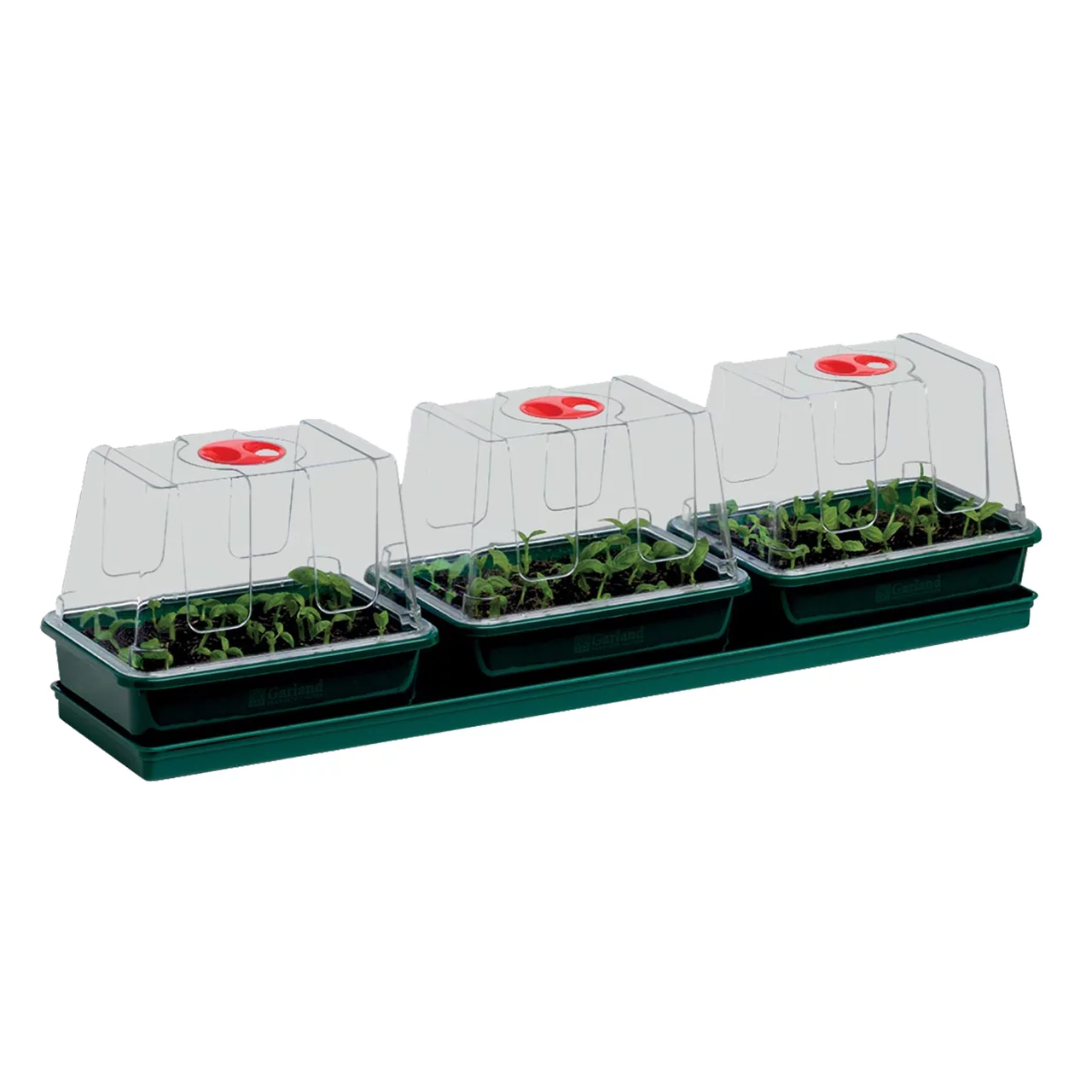 Image du produit pour «Mini serres»