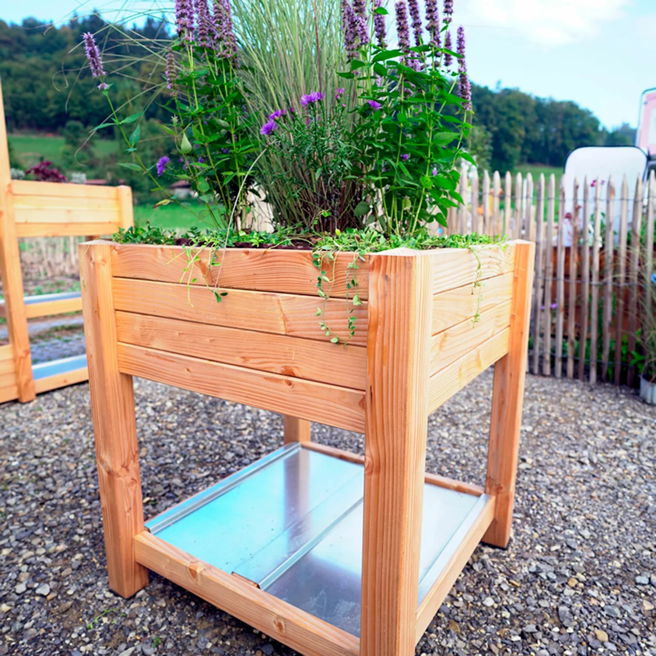 Produktbild zu «Hochbeet Pflanzwand»