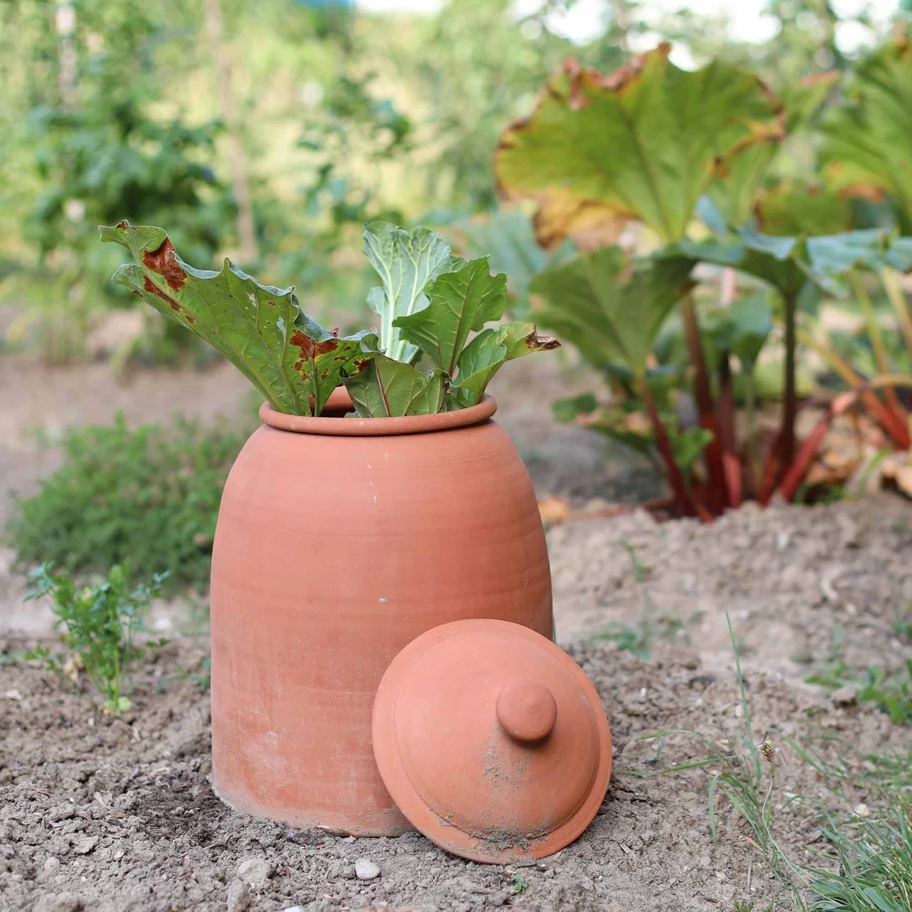 Image du produit pour «Pot ou cloche à blanchir les légumes» | © Andermatt Biogarten AG