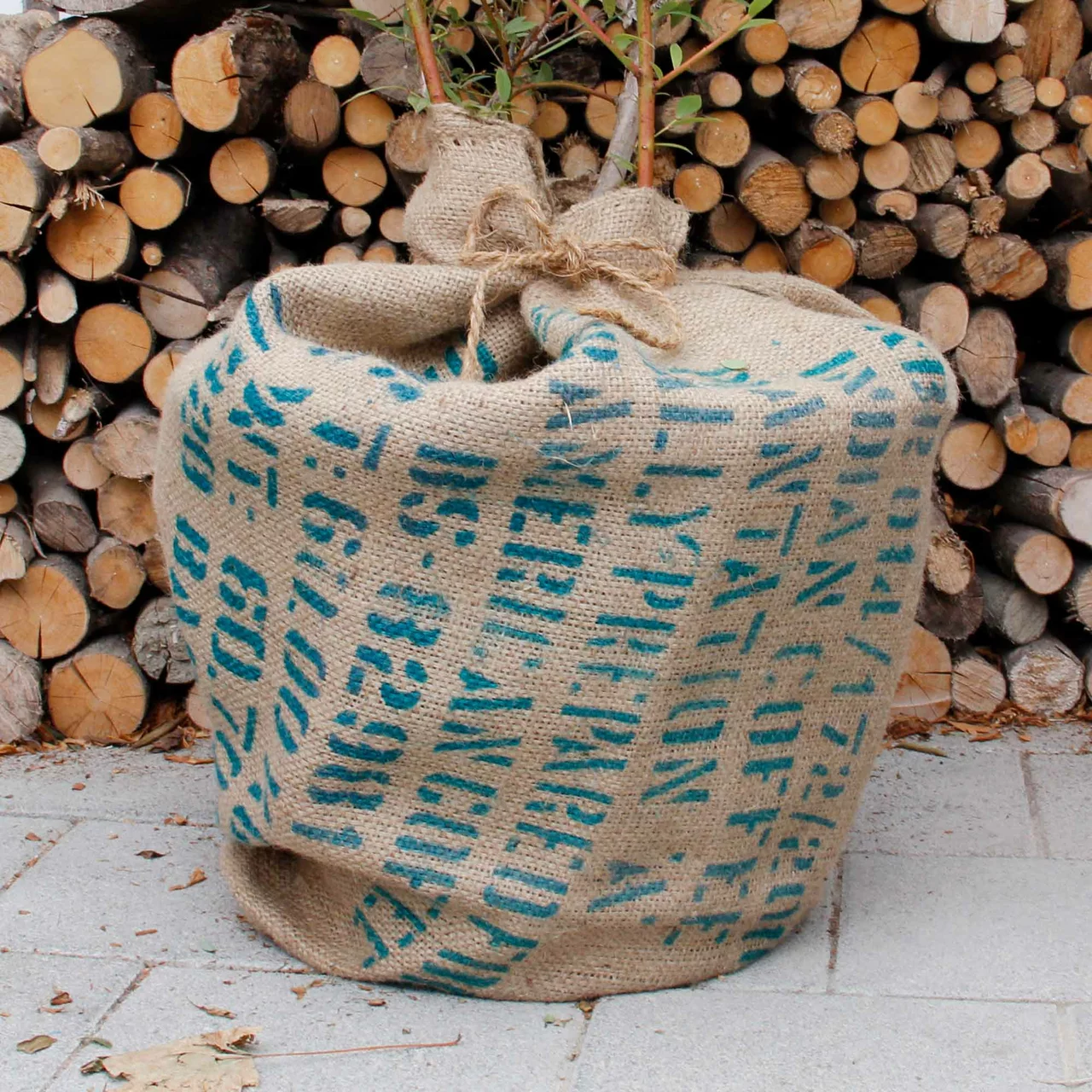 Produktbild zu «Winterschutz aus Jute» | © Andermatt Biogarten AG