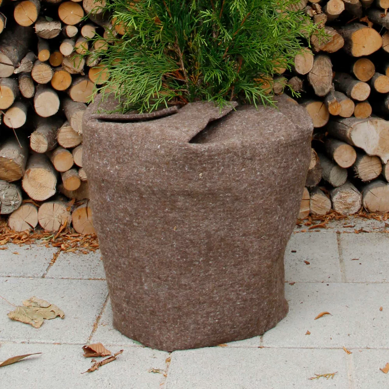 Produktbild zu «Winterschutzfilz für verschiedene Topfgrössen» | © Stiftung BWO