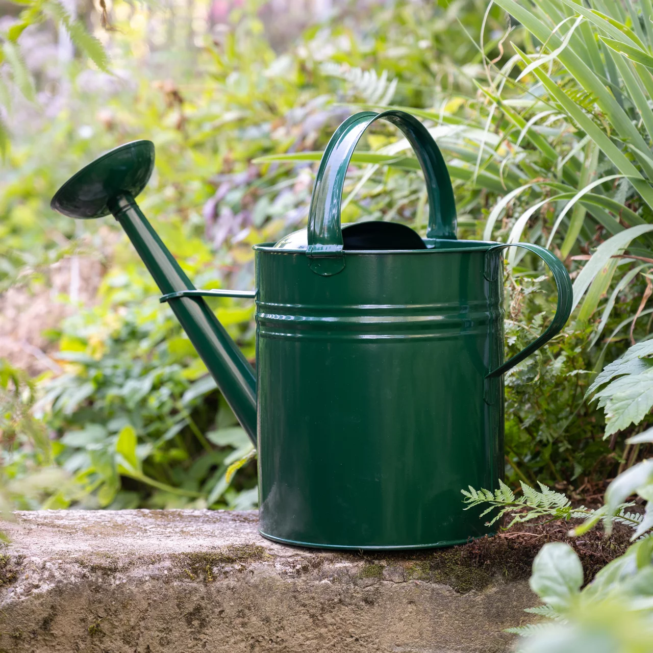 Giesskannen aus verzinktem Stahl – Qualitäts-Gartenzubehör