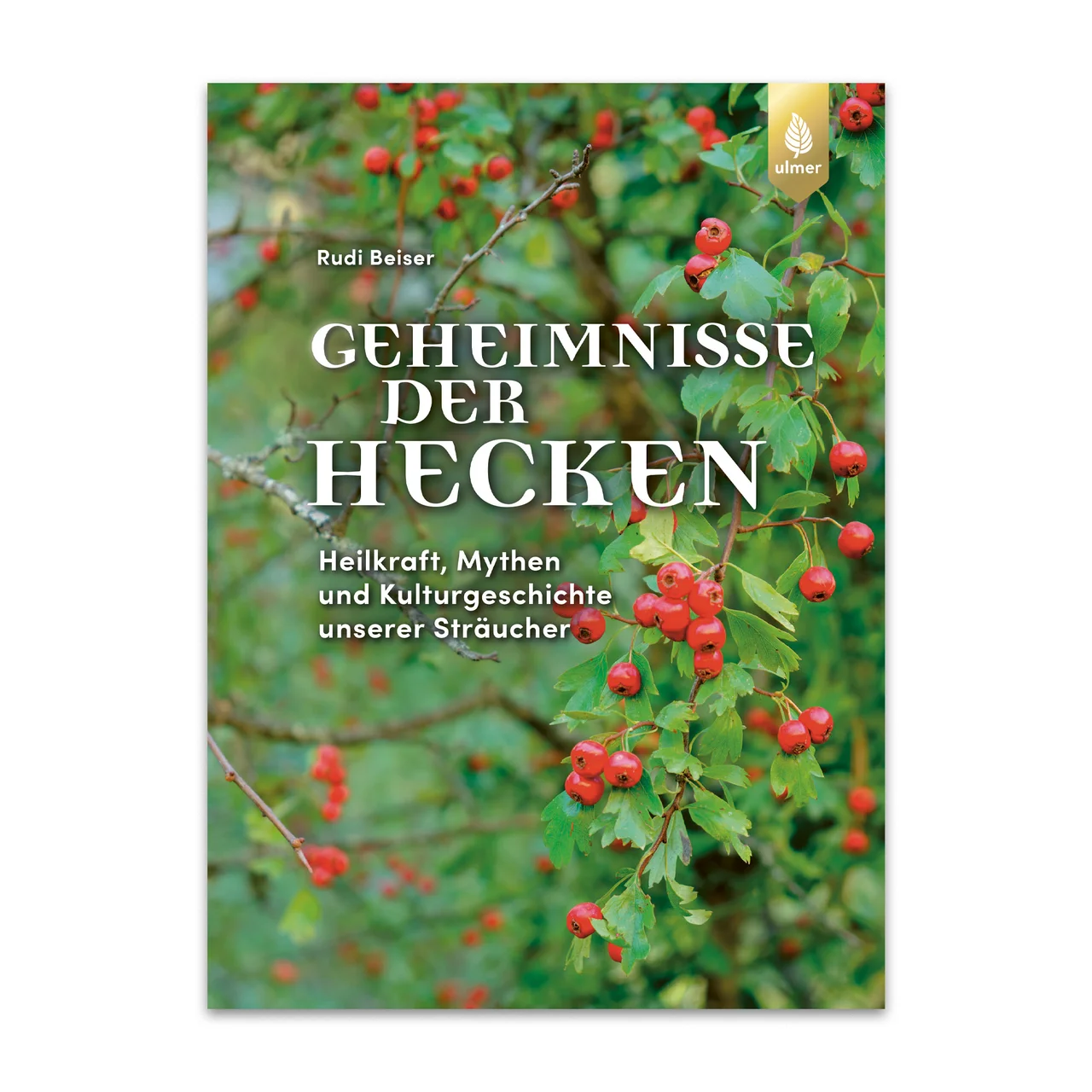 Produktbild zu «Geheimnisse der Hecken»