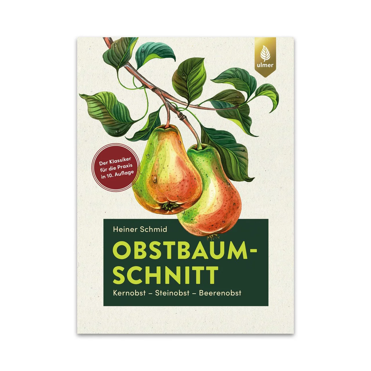 Produktbild zu «Obstbaumschnitt – Kernobst, Steinobst, Beerenobst» | © Buchzentrum AG
