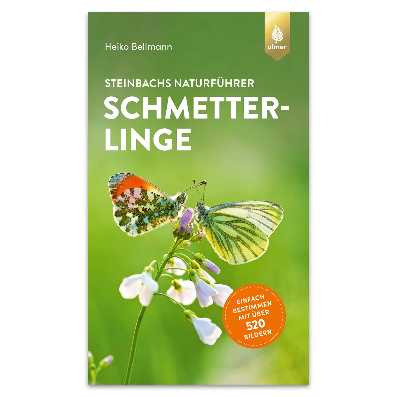 Image du produit pour «Schmetterlinge entdecken und erkennen» | © AVA Verlagsauslieferung AG