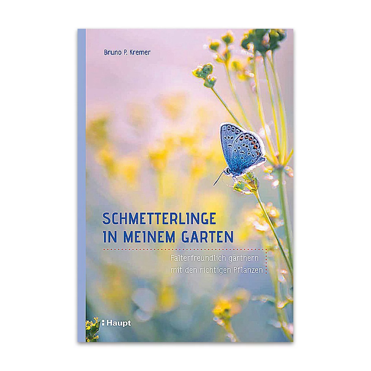 Produktbild zu «Schmetterlinge in meinem Garten» | © Buchzentrum AG