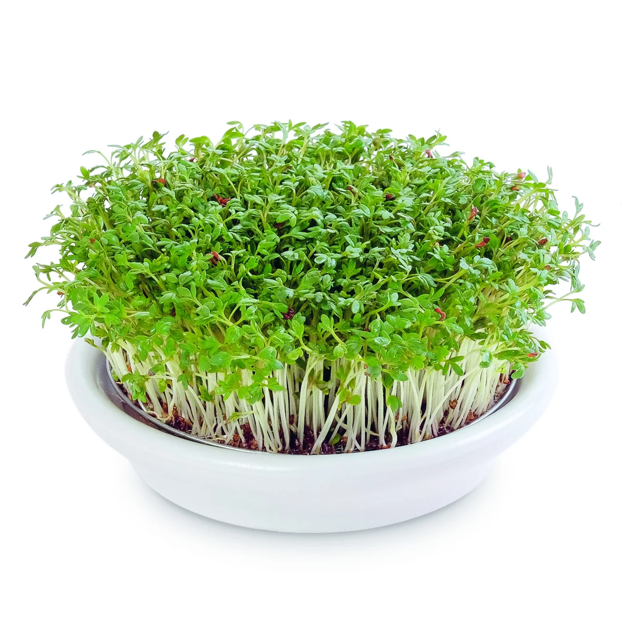 Produktbild zu «Kressesieb mit Keramikschale» | © Eschenfelder GmbH & Co.KG
