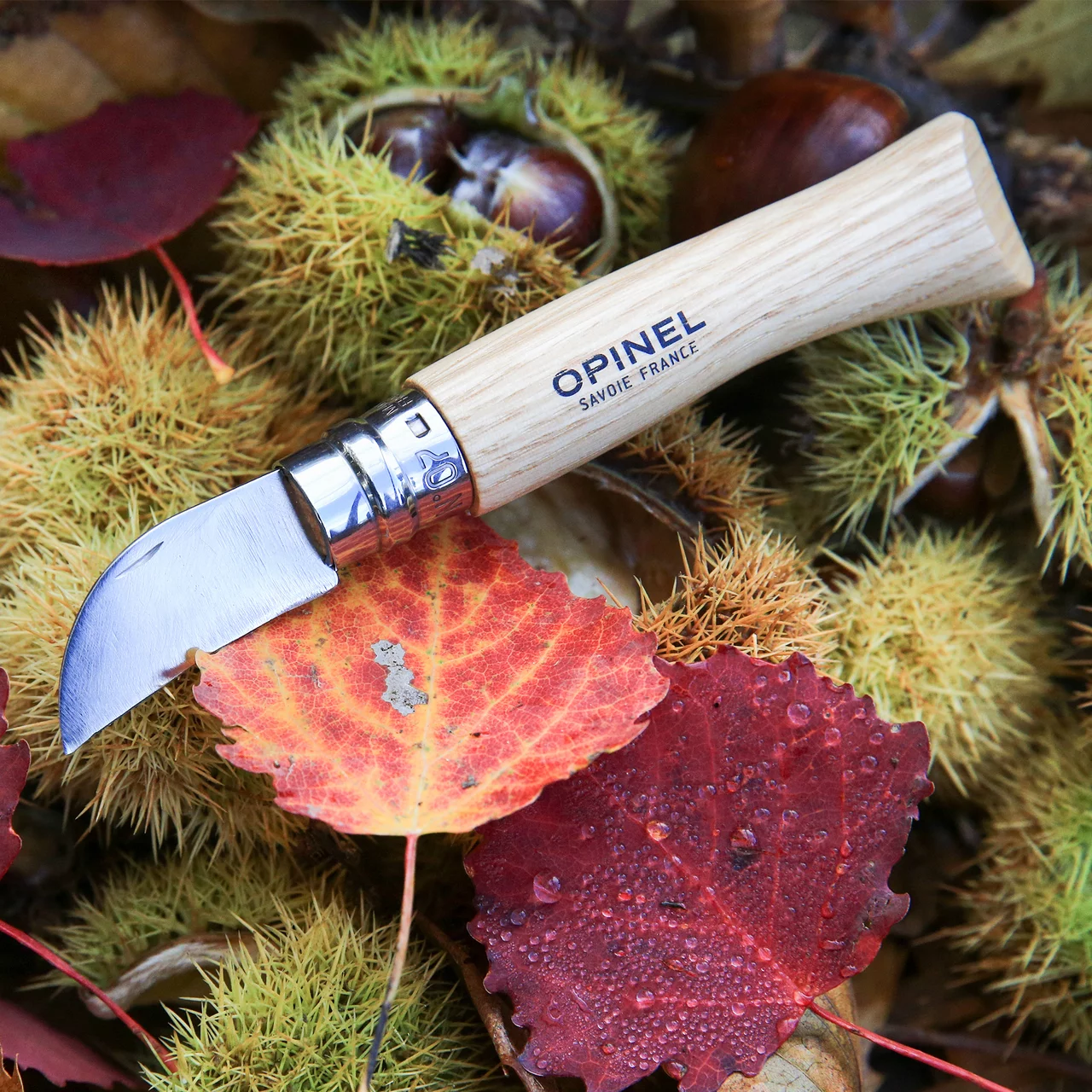 Produktbild zu «Opinel Kastanien- und Knoblauchmesser» | © Andermatt Biogarten AG