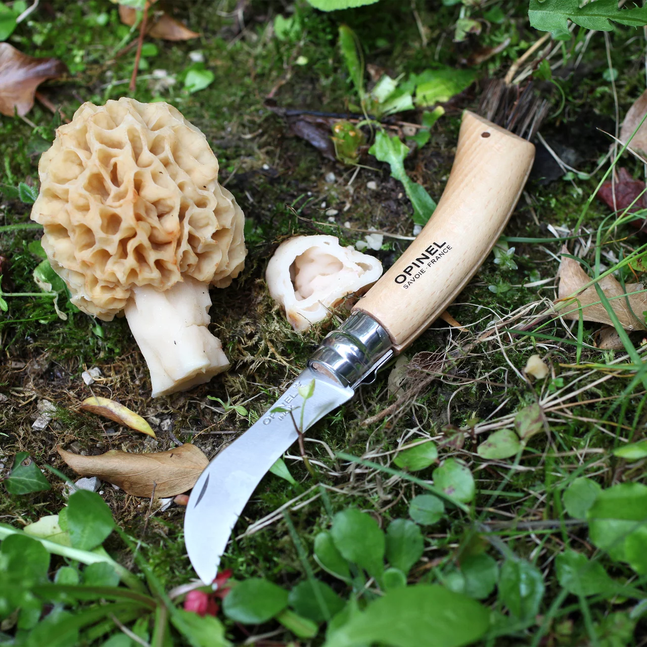 Produktbild zu «Opinel Pilzmesser» | © Andermatt Biogarten AG