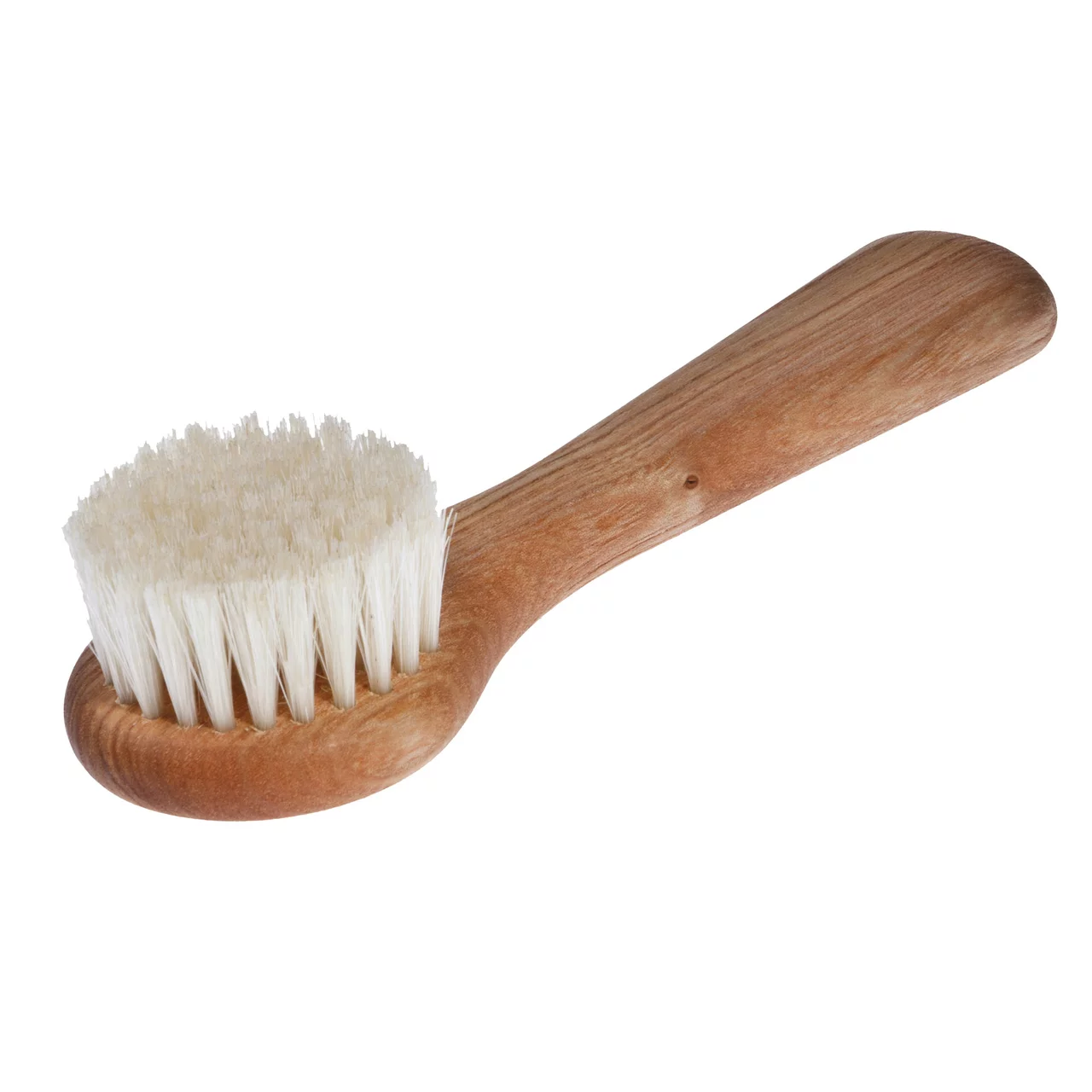 Image du produit pour «Brosse à champignons» | © Hintz-Bürsten