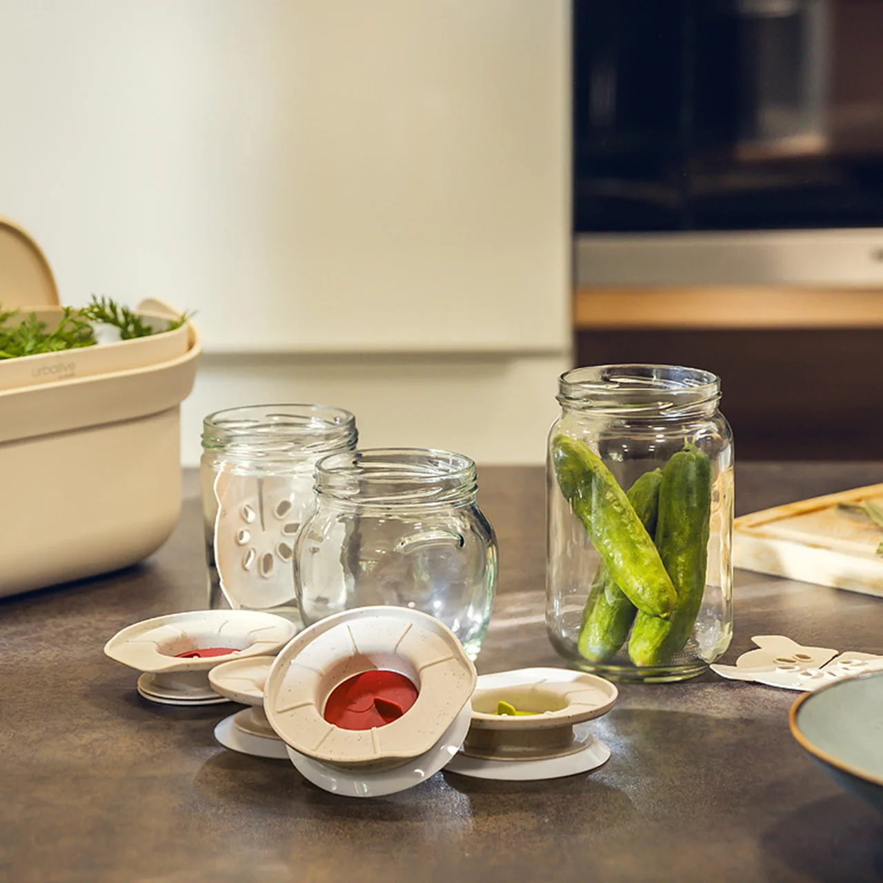 Starter-Set Fermentation