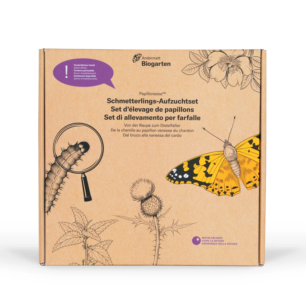 Produktbild zu «Schmetterlings-Aufzuchtset» | © Andermatt Biogarten AG