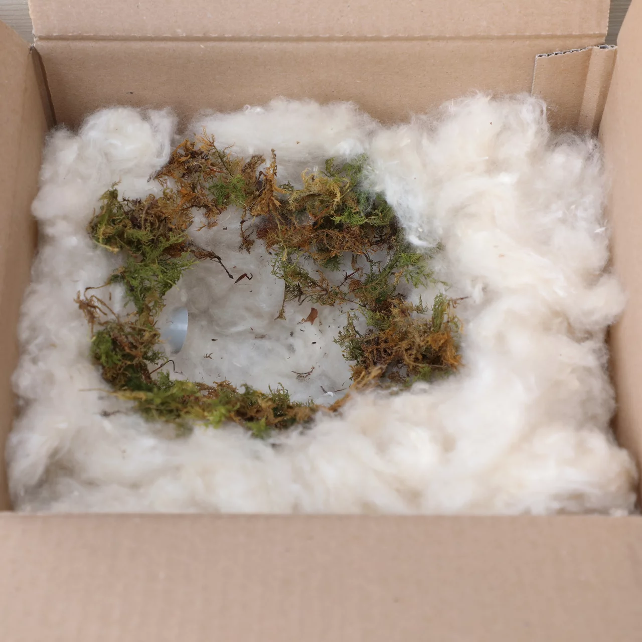 Image du produit pour «Ruche à bourdons Biogarten» | © RAZ Werkatelier