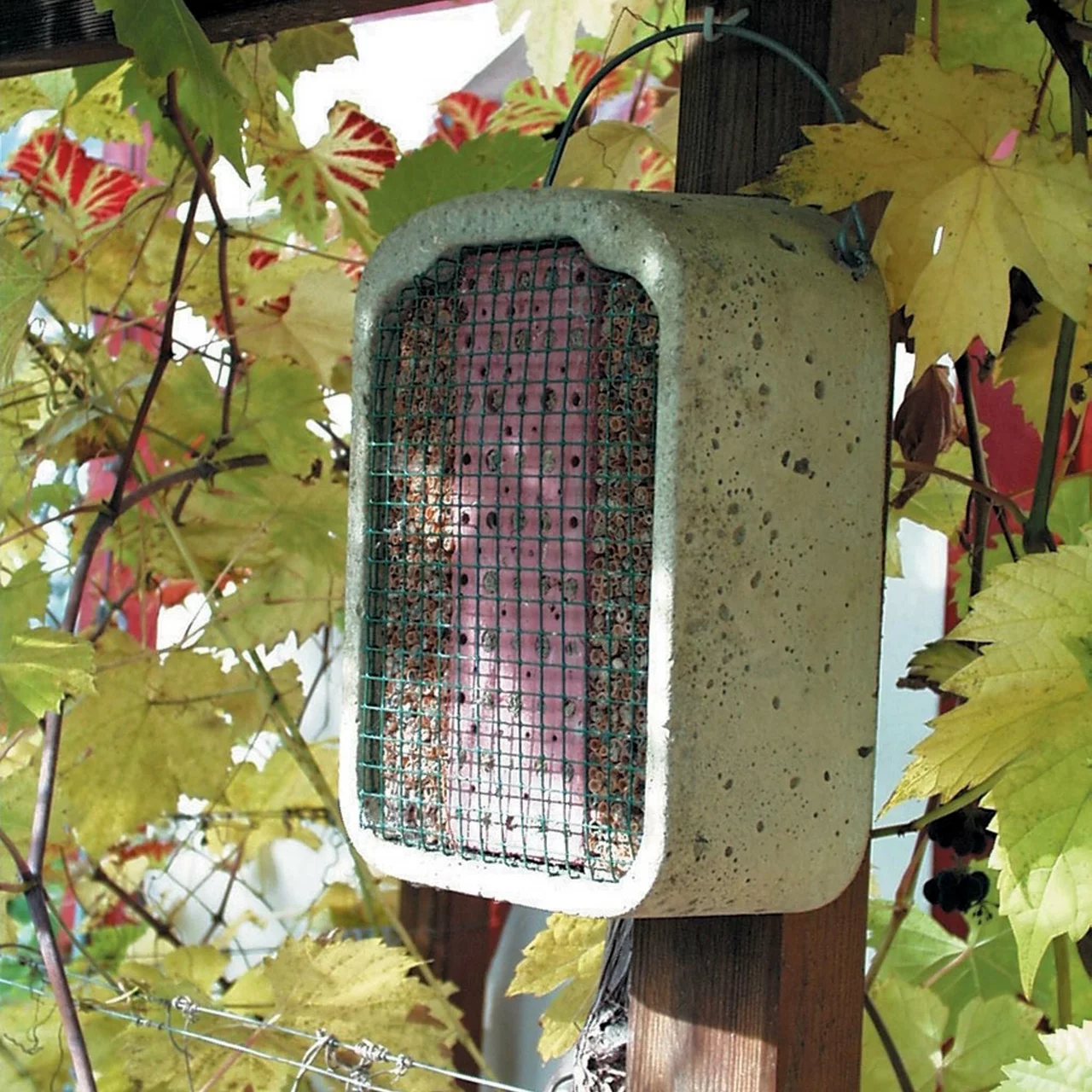 Produktbild zu «Insekten-Nistwand» | © Andermatt Biogarten AG