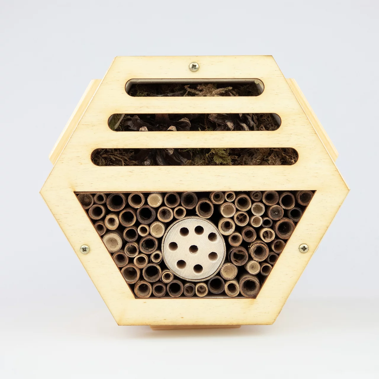 Produktbild zu «Insektenmodul Käfer / Biene» | © RAZ Werkatelier