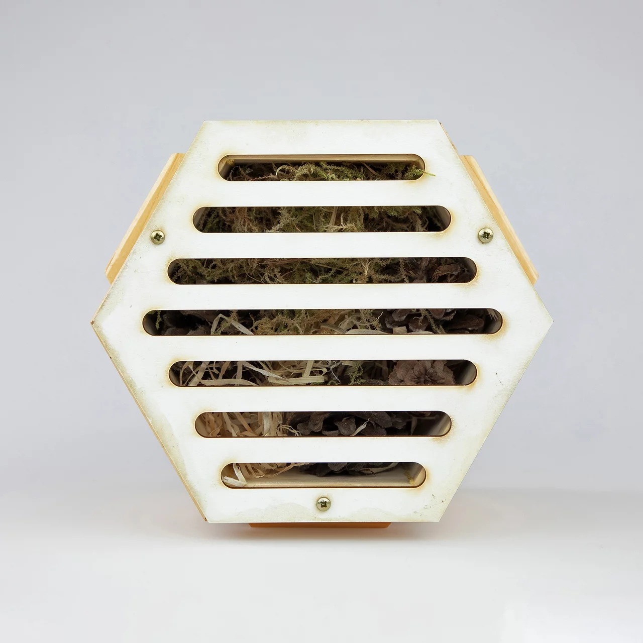 Produktbild zu «Insektenmodul Käfer» | © RAZ Werkatelier
