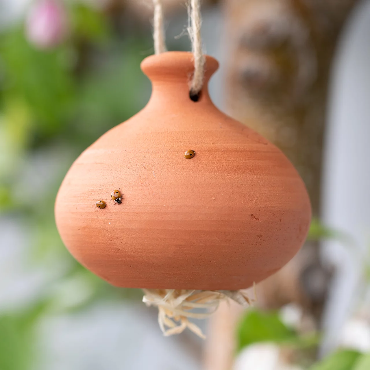 Image du produit pour «Hôtel des perce-oreilles» | © Andermatt Biogarten AG