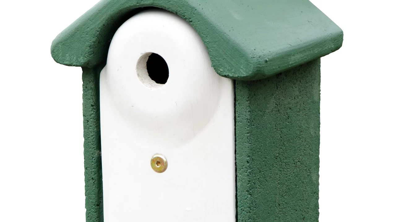 Produktbild zu «Vogelhaus Blaumeise» | © CJ WildBird Foods Ltd