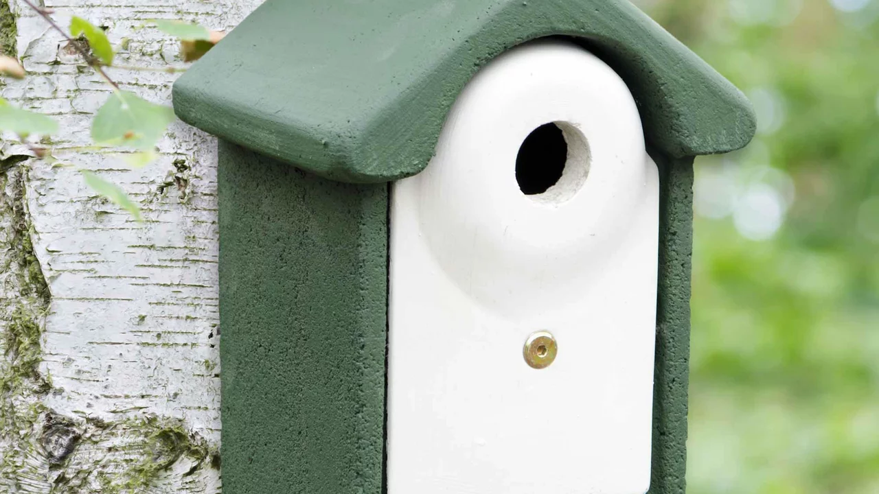 Produktbild zu «Vogelhaus Kohlmeise» | © CJ WildBird Foods Ltd