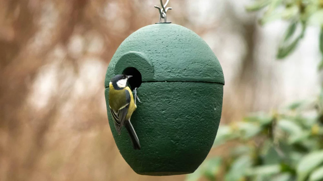 Produktbild zu «Vogelhaus-Kugel» | © CJ WildBird Foods Ltd
