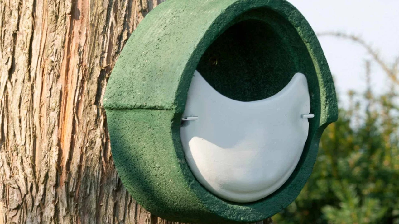 Produktbild zu «Vogelhaus Rotkehlchen» | © CJ WildBird Foods Ltd