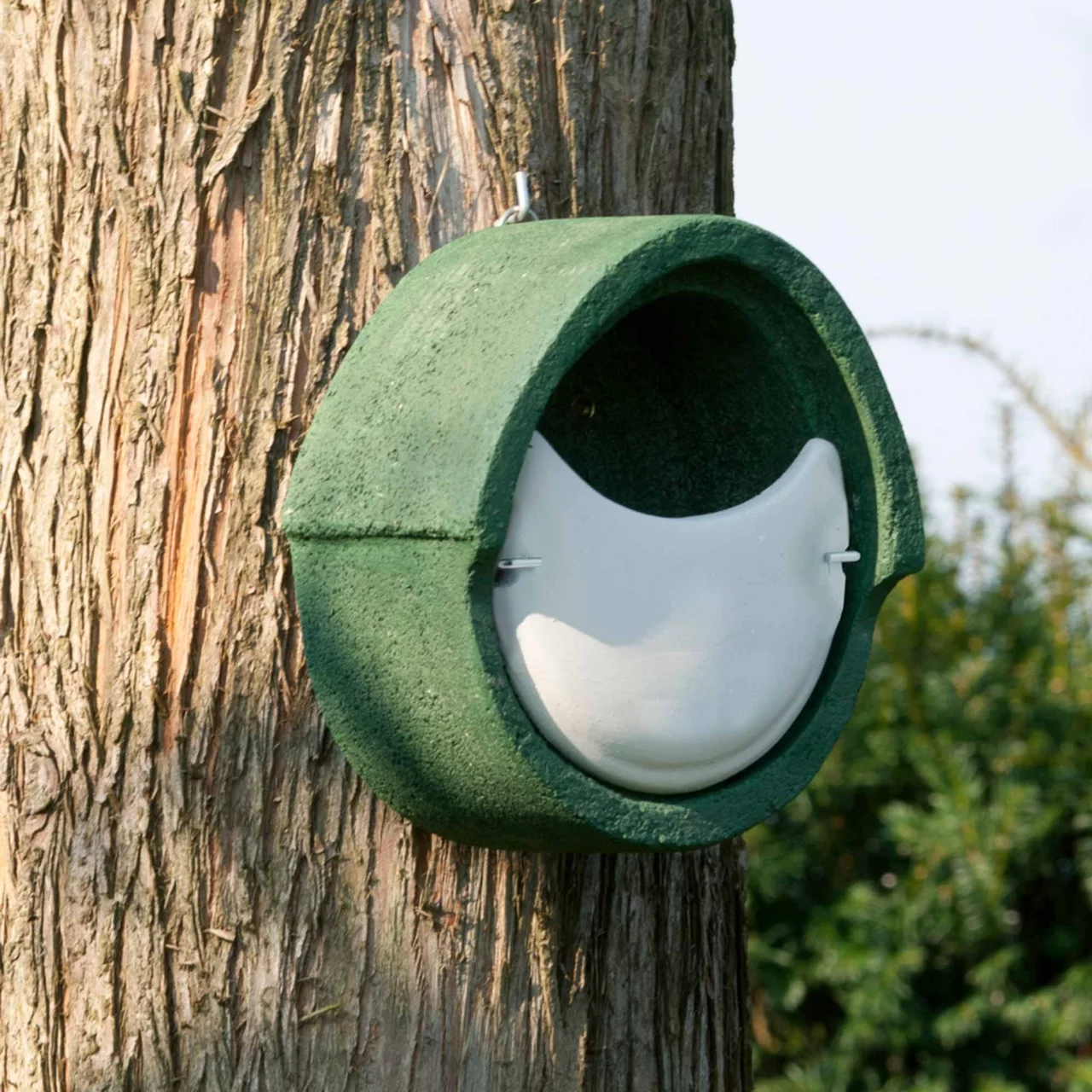 Image du produit pour «Nichoir Rougegorge semi-ouvert» | © CJ WildBird Foods Ltd
