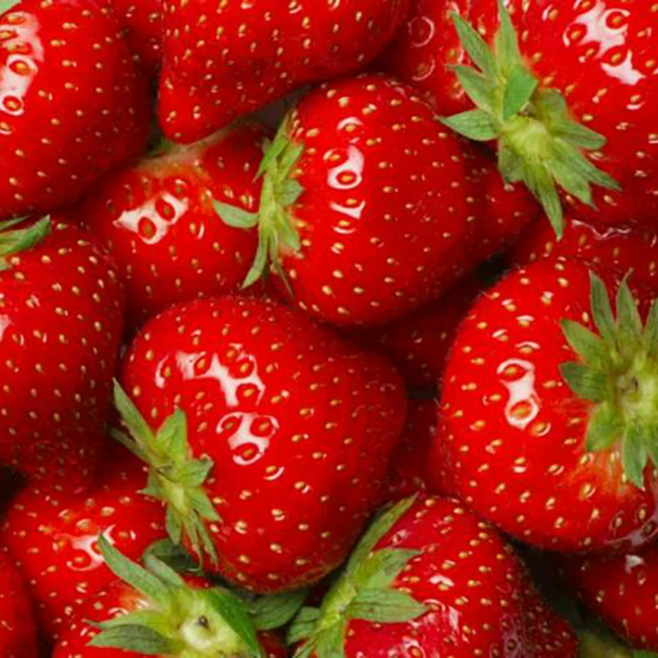 Produktbild zu «Erdbeere Ostara®»