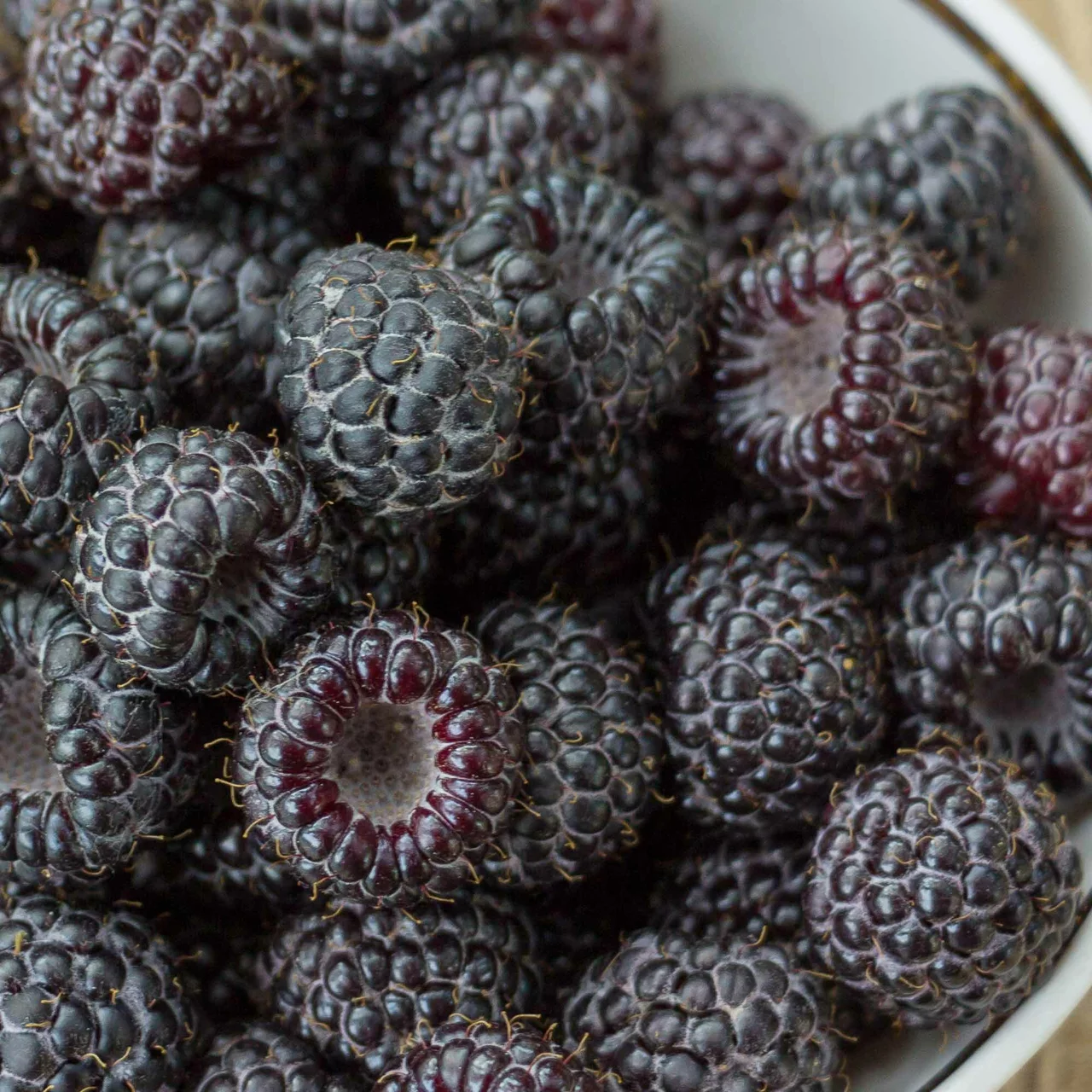 Produktbild zu «Himbeere Black Jewel» | © R. Rombach Pflanzenproduktion