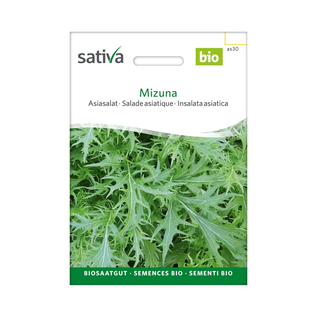 Image du produit pour «Semences bio Salade asiatique Mizuna» | © Sativa Rheinau AG