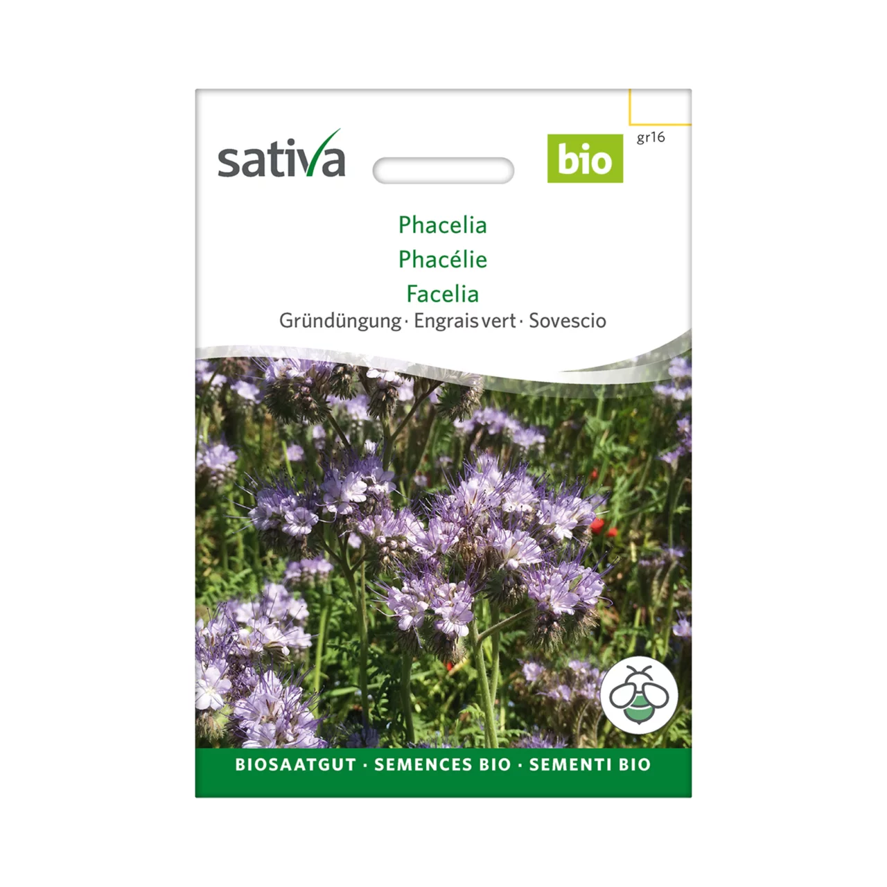 Produktbild zu «Biosamen Gründüngung Phacelia» | © Sativa Rheinau AG