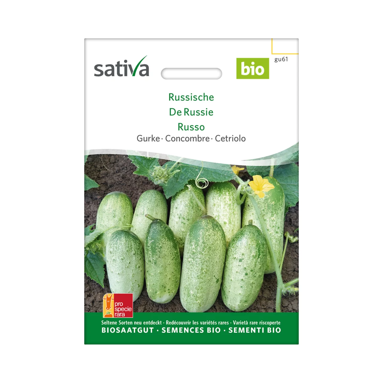 Produktbild zu «Biosamen Gurke Russische» | © Sativa Rheinau AG