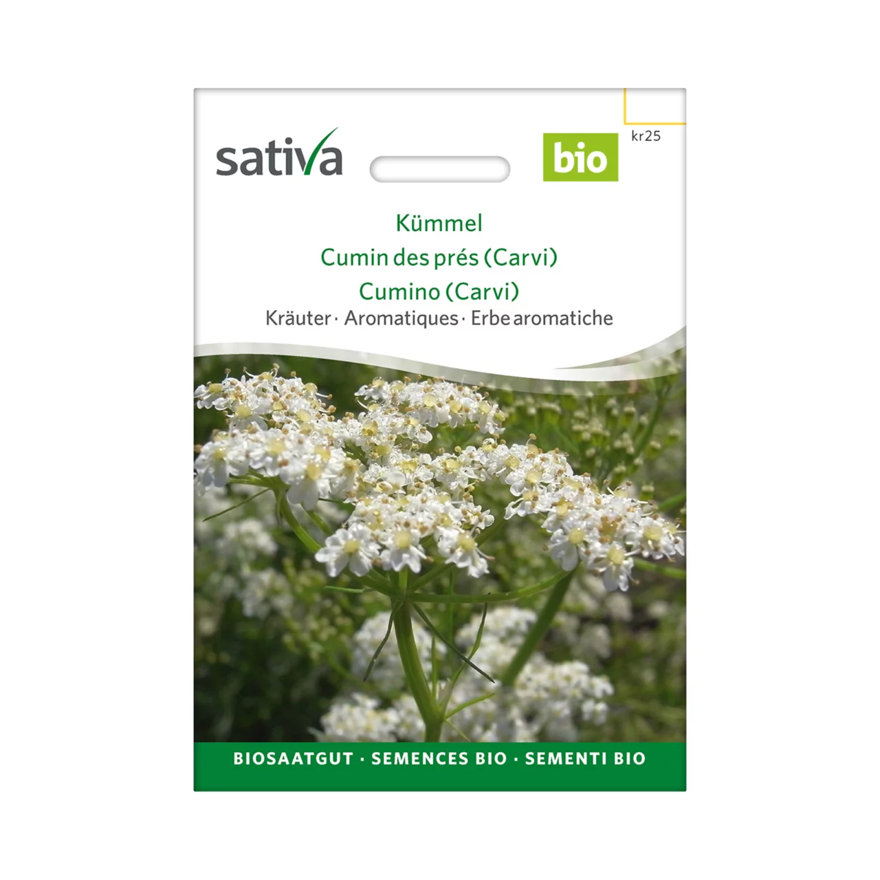 Image du produit pour «Semences bio Cumin des Prés (Carvi)» | © Sativa Rheinau AG