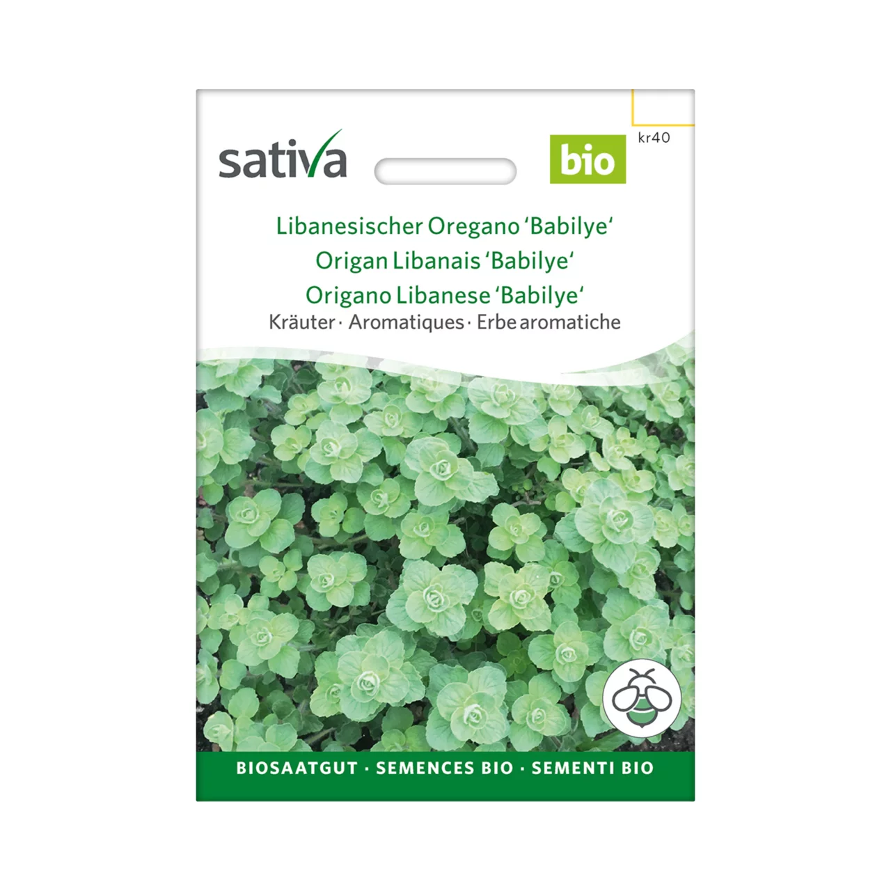 Produktbild zu «Biosamen Libanesischer Oregano Babilye» | © Sativa Rheinau AG