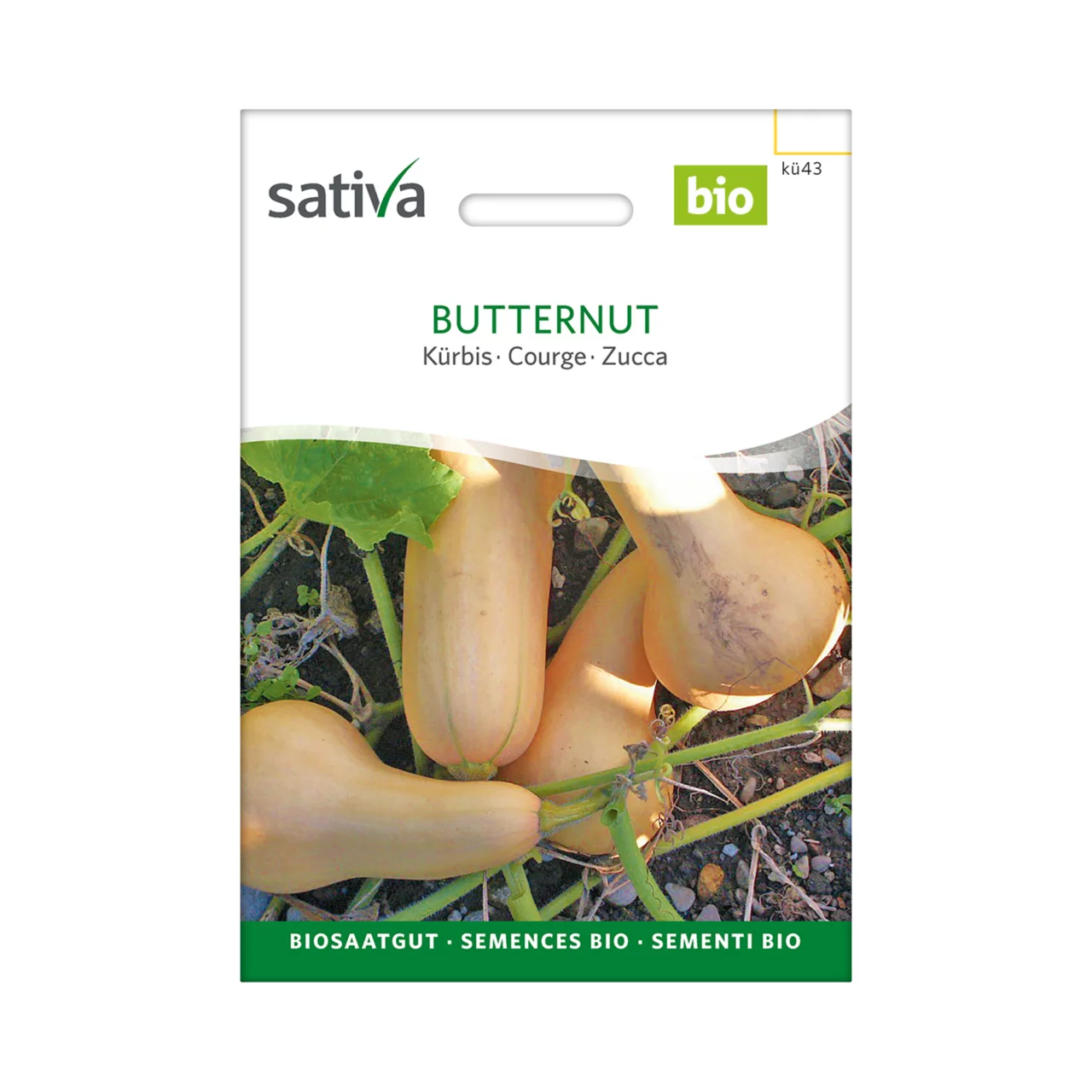 Produktbild zu «Biosamen Kürbis Butternut» | © Sativa Rheinau AG